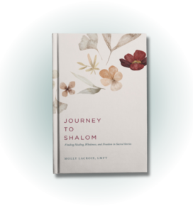 Journey to Shalom