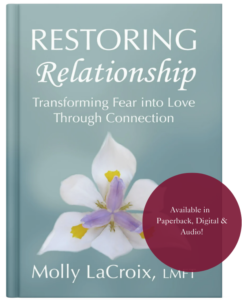 Restoring Relationship book