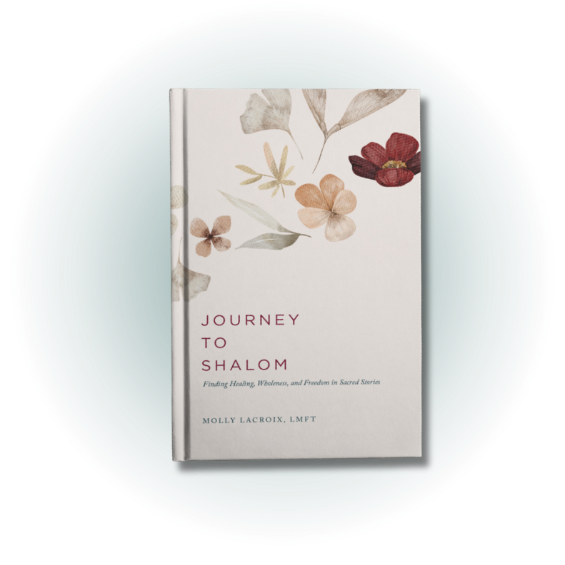 Journey to Shalom