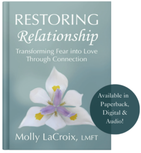 Restoring Relationship Book