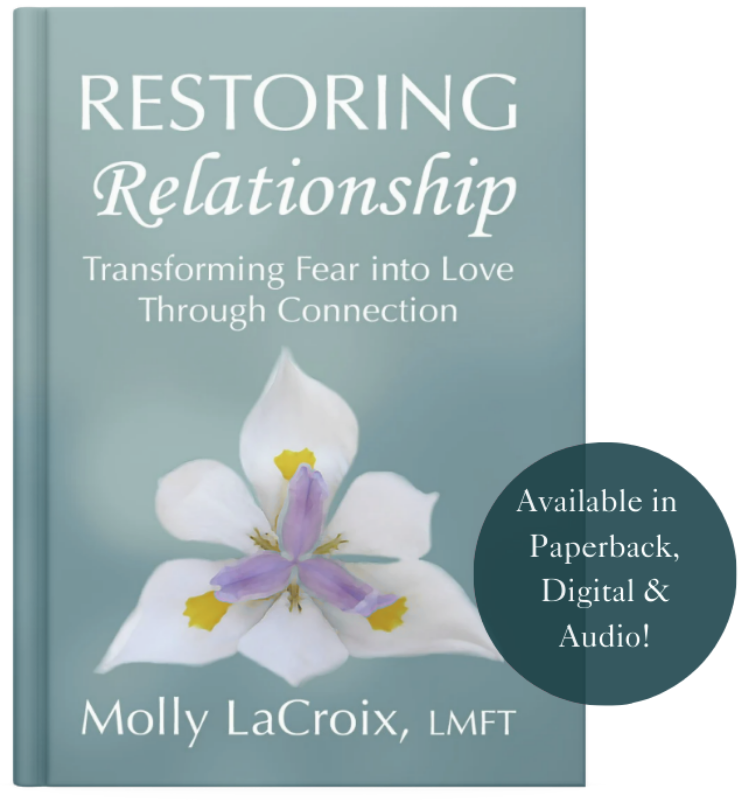 Restoring Relationship Book Restoring Relationship Book