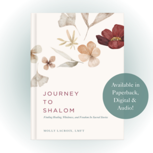 Journey to Shalom book cover