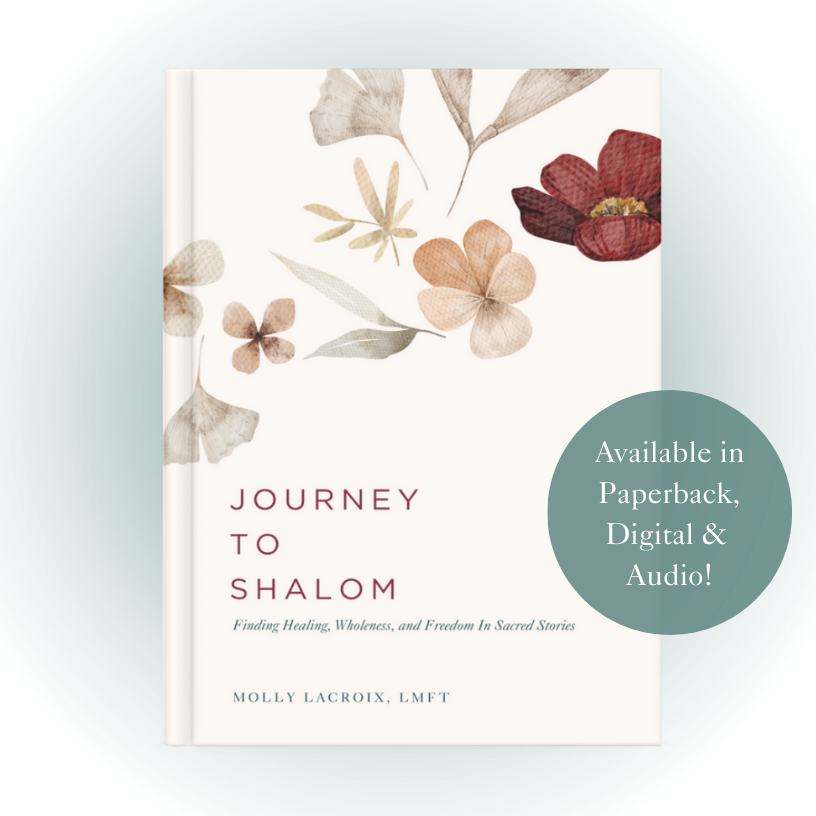 Journey to Shalom book cover Journey to Shalom book cover